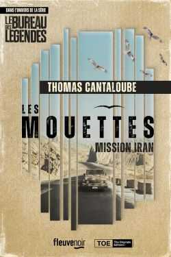 Les Mouettes Thomas Cantaloube Le Bureau des légendes Fleuve noir Mission Iran