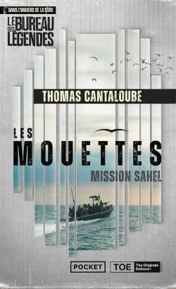 Les Mouettes Thomas Cantaloube Le Bureau des légendes Fleuve noir Mission Sahel